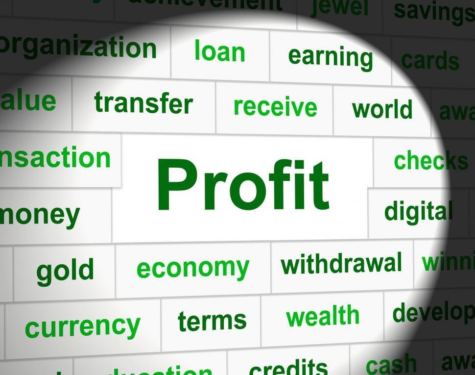 Profits and Earnings