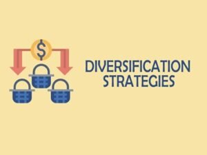 Diversification Strategies